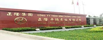 Cheng Loong Bình Dương Paper 15