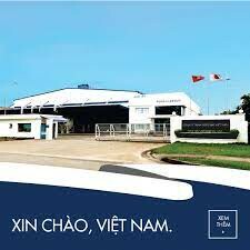 Toyoink Compounds VIETNAM 10