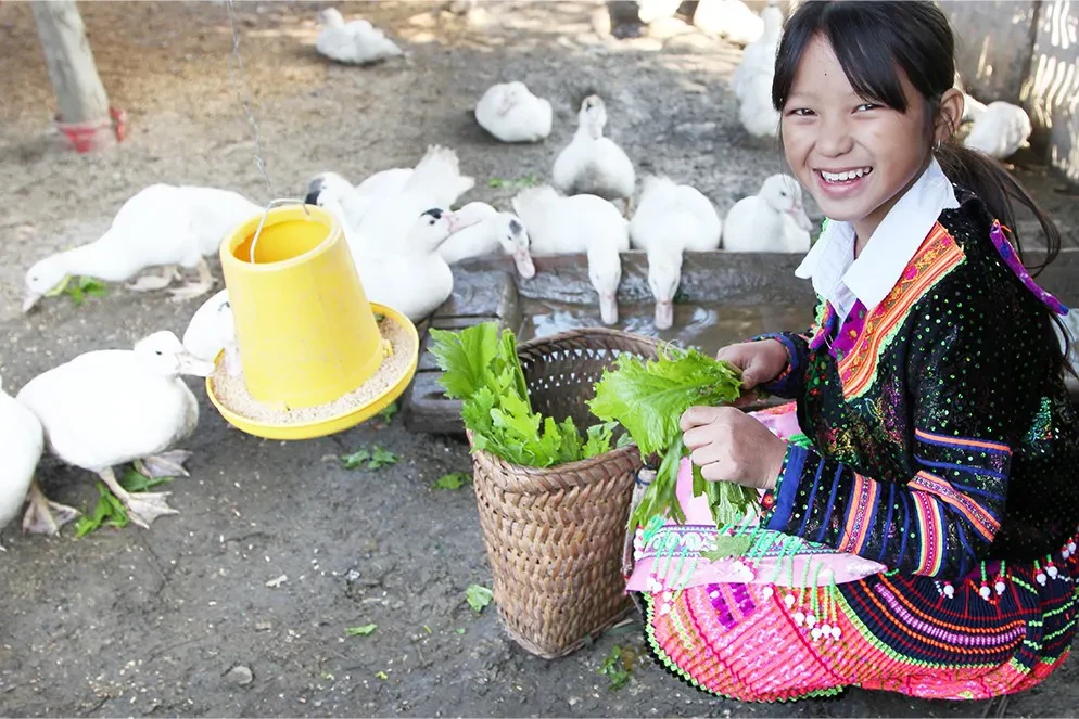 World Vision Vietnam 4