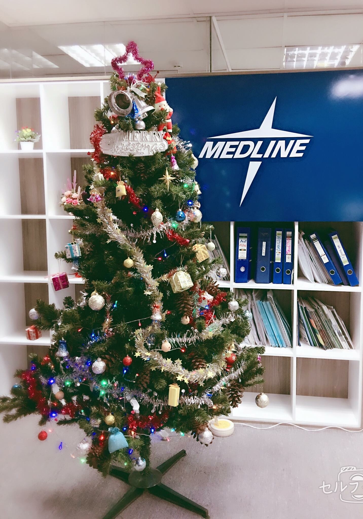 MEDLINE 3