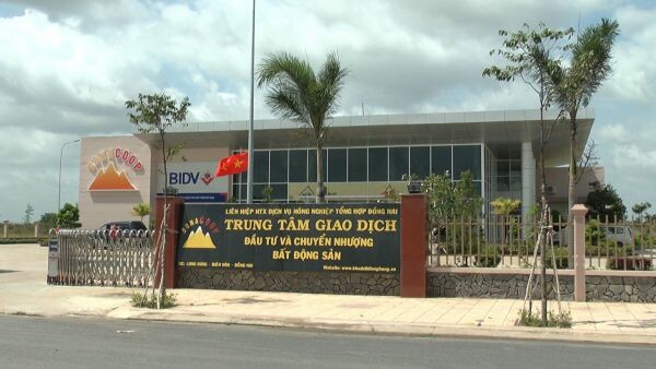 Tập Đoàn Donacoop 7