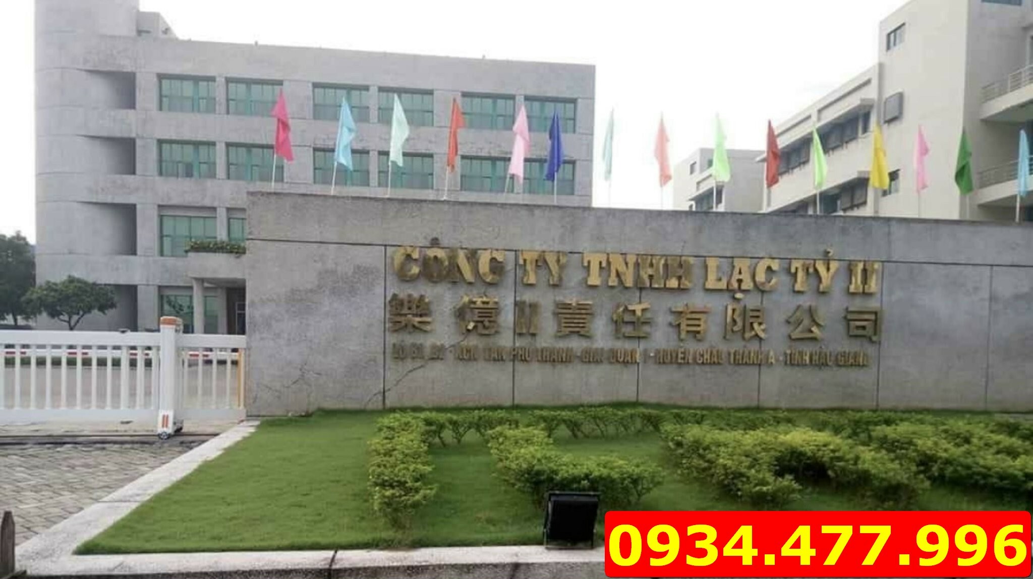 Lạc Tỷ 5