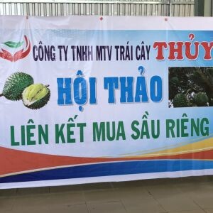 Công ty Trái Cây Thủy 帝 4