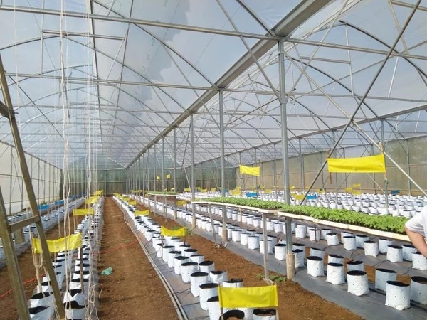 CÔNG TY TNHH ĐỨC TẤN SÀI GÒN 5