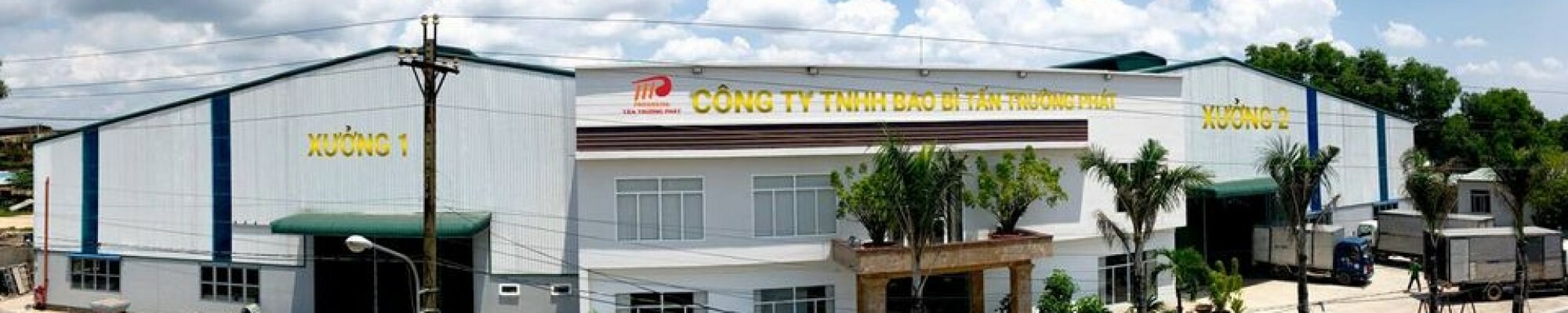 Bao Bì Tấn Trường Phát 9