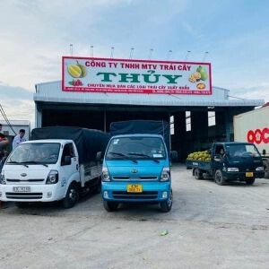 Công ty Trái Cây Thủy 帝 3