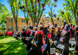 Language Link Vietnam 6