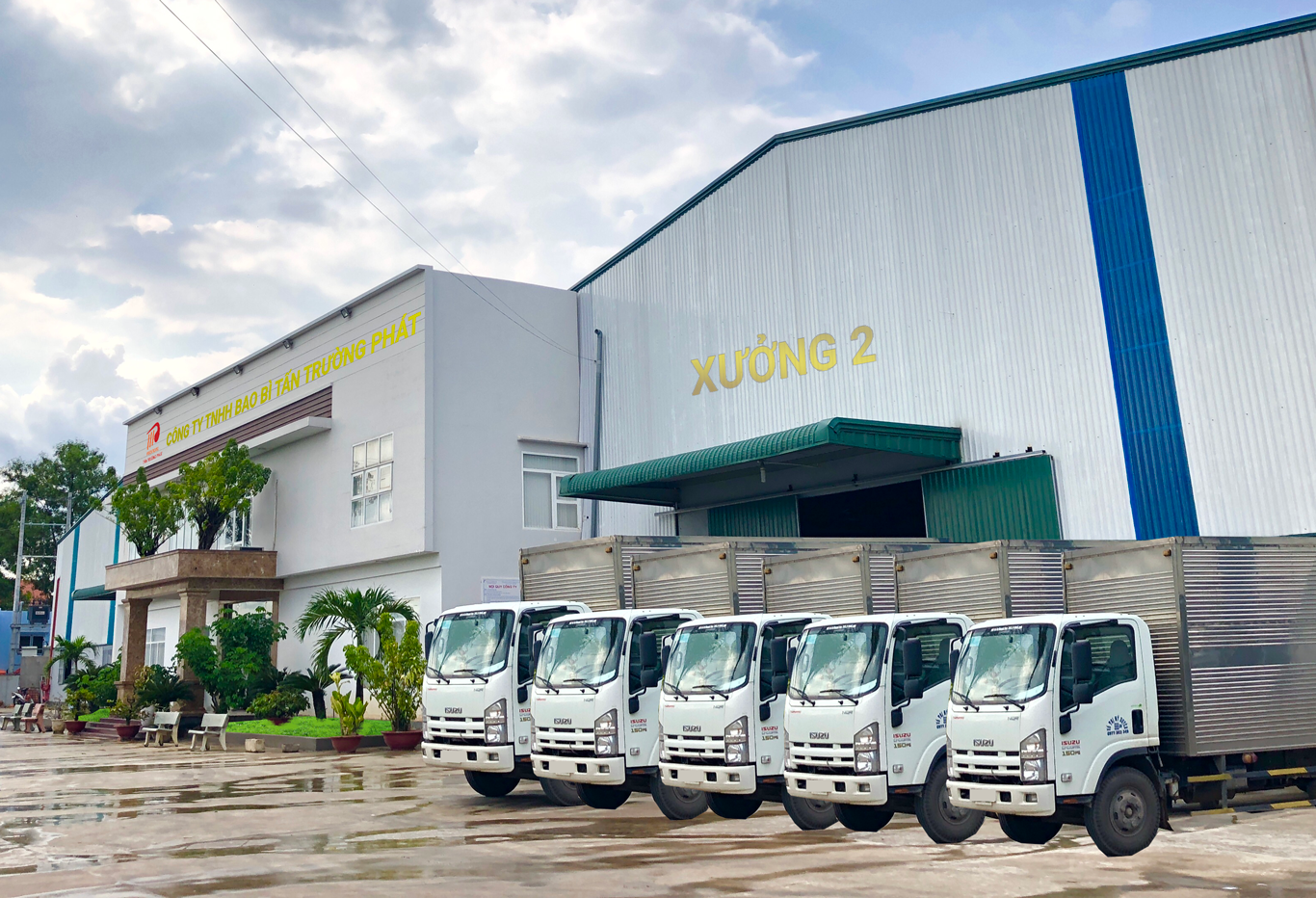 Bao Bì Tấn Trường Phát 1