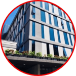 VPĐD SOUTH ISLAND GARMENT 5