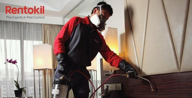 Rentokil Initial 2