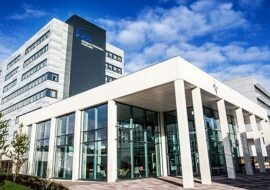 Language Link Vietnam 4