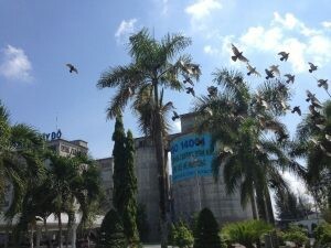 XI MĂNG TÂY ĐÔ 4