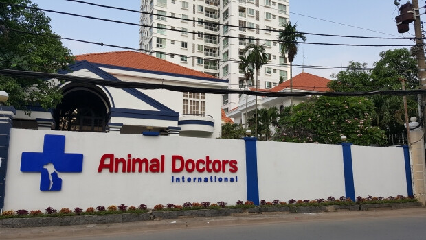 Animal Doctors International Việt Nam 7