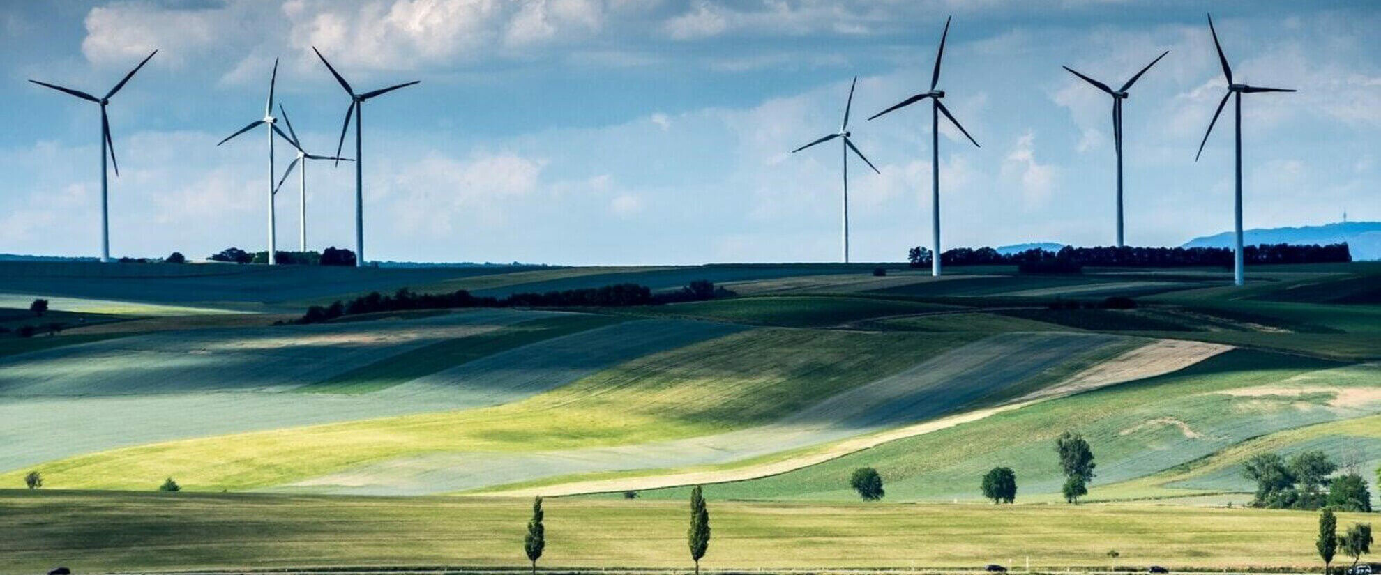 CÔNG TY CÂY GIỐNG CAO NGUYÊN HIVICO 7