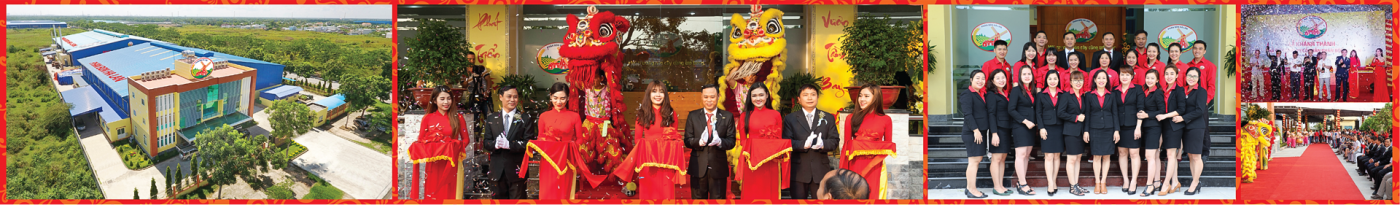 PHÂN BÓN HÀ LAN 1