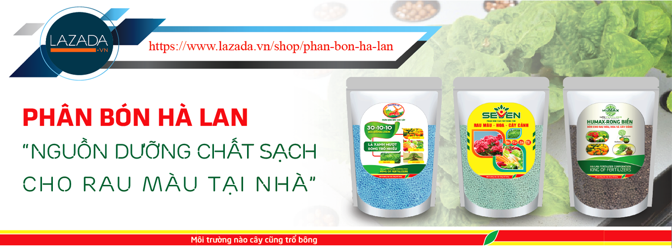 PHÂN BÓN HÀ LAN 8