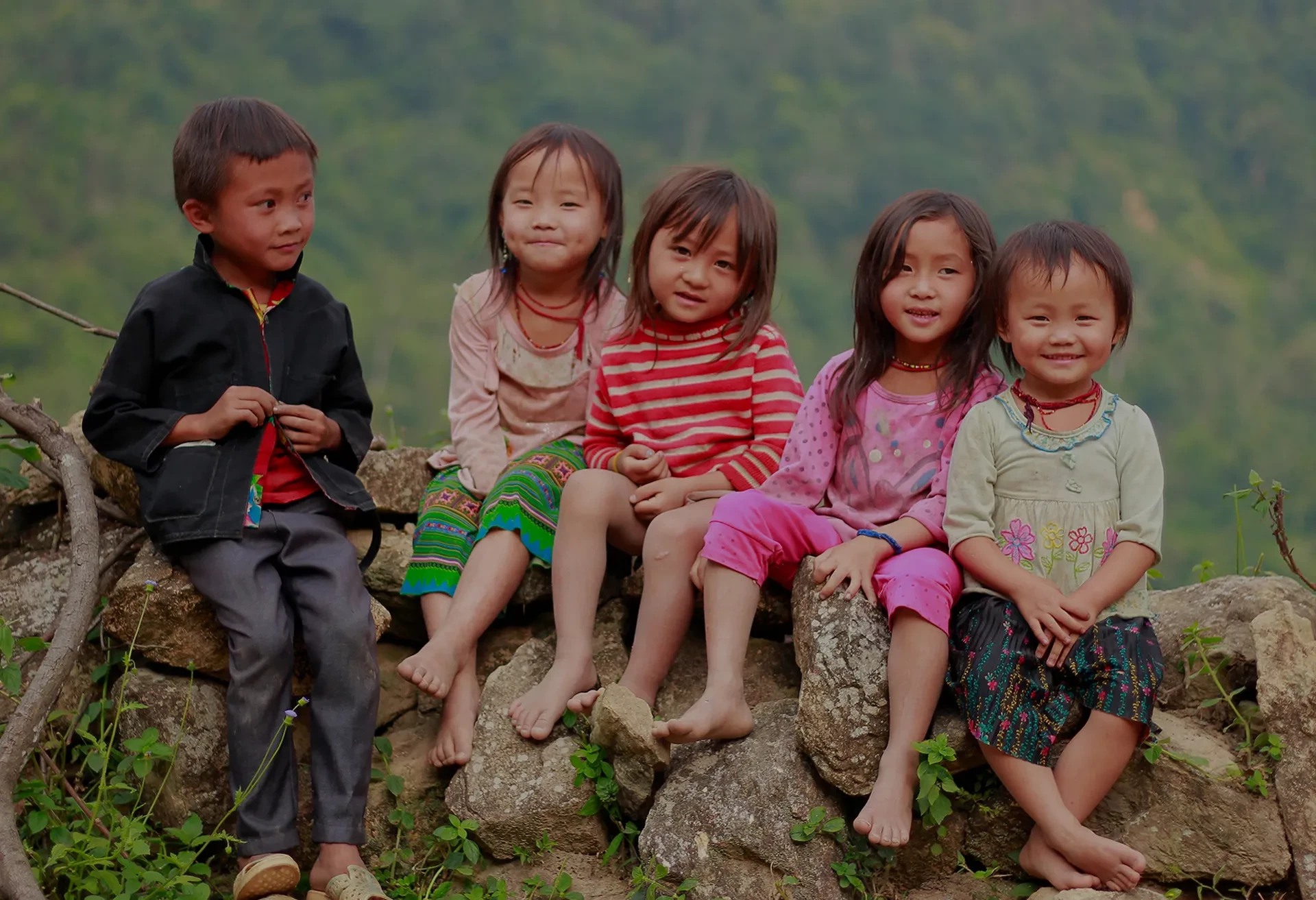 World Vision Vietnam 10