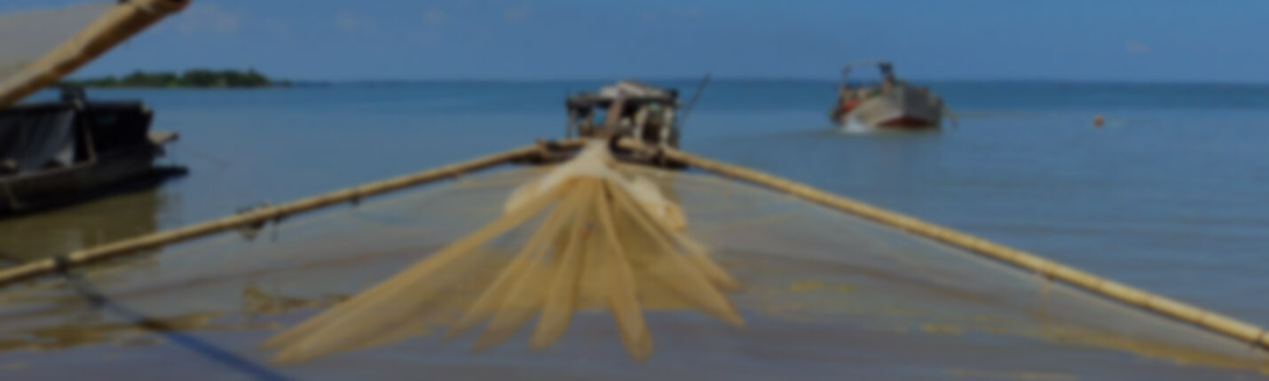 SẢN XUẤT - THƯƠNG MẠI - DỊCH VỤ TRÍ HẢI 7