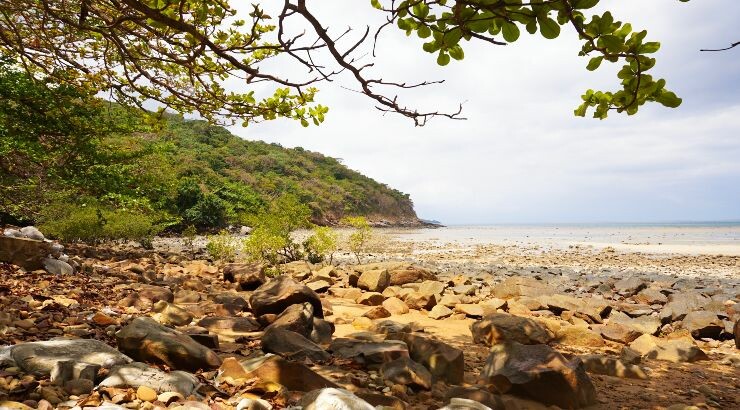 Du Lịch Việt Nam TP HCM 2