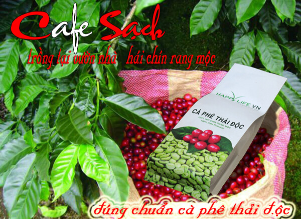 TMDV Truyền Thông Happy Life 6