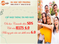 Công Ty TNHH Tư Vấn Du Học Việt Phương 3