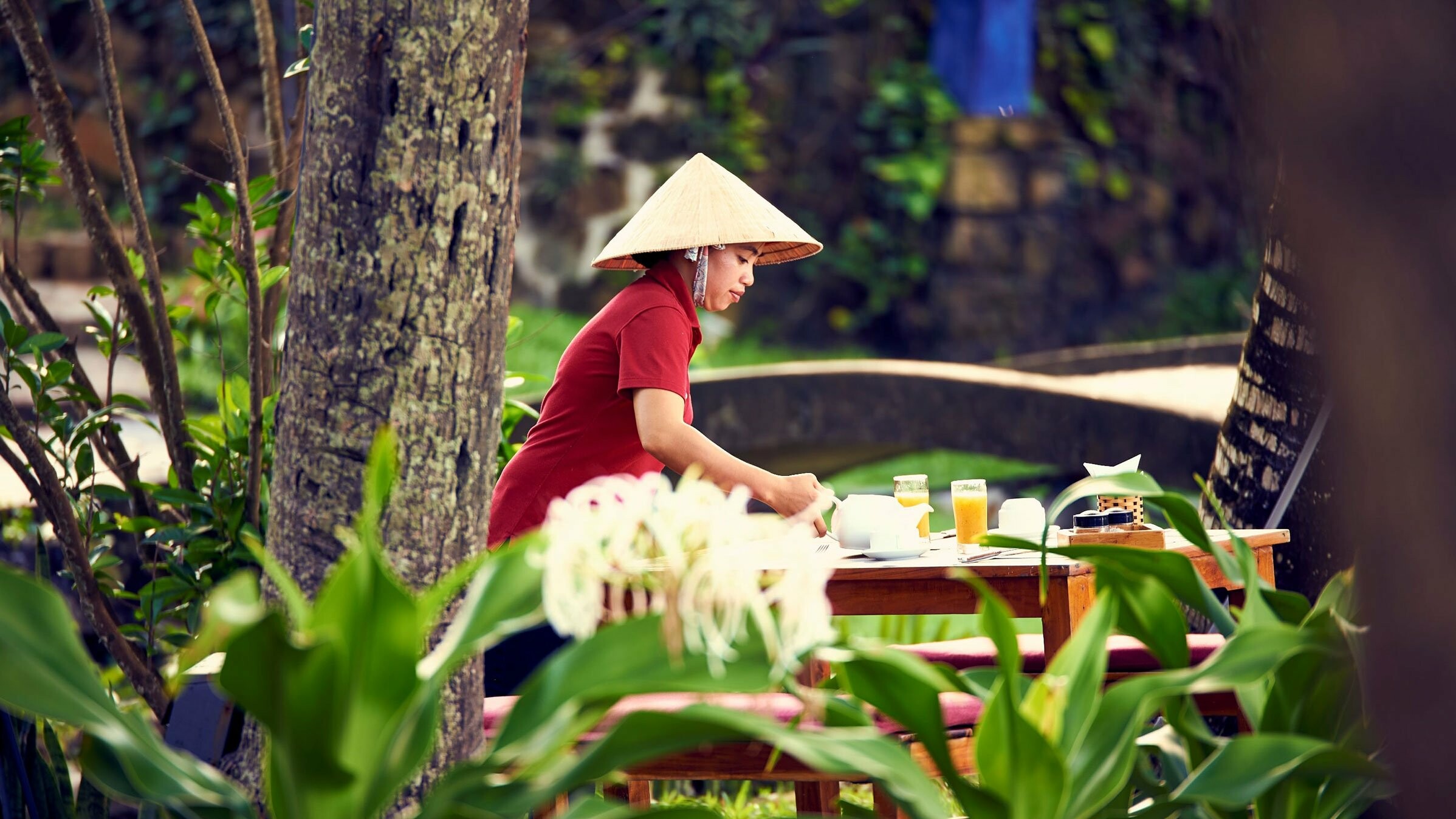 Cassia Cottage - Resort 5