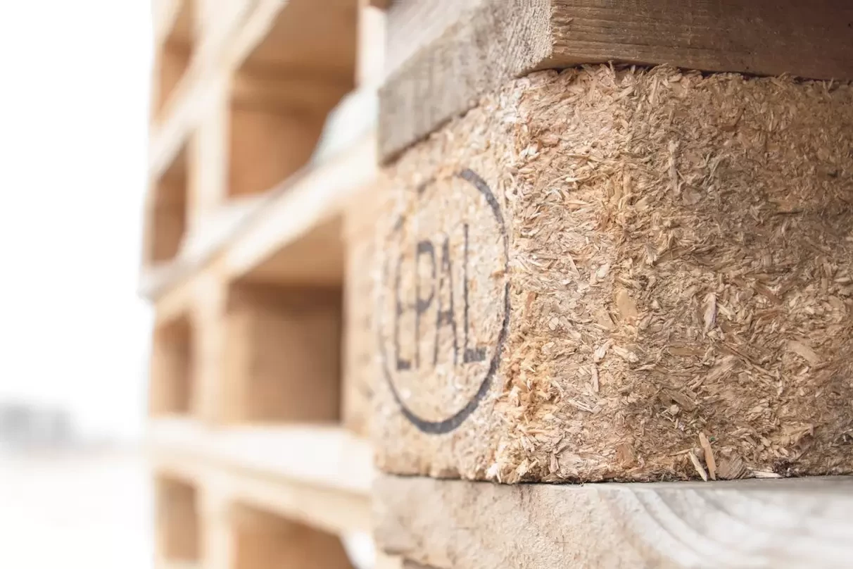 Cargo - Partner Logistics Việt Nam 6