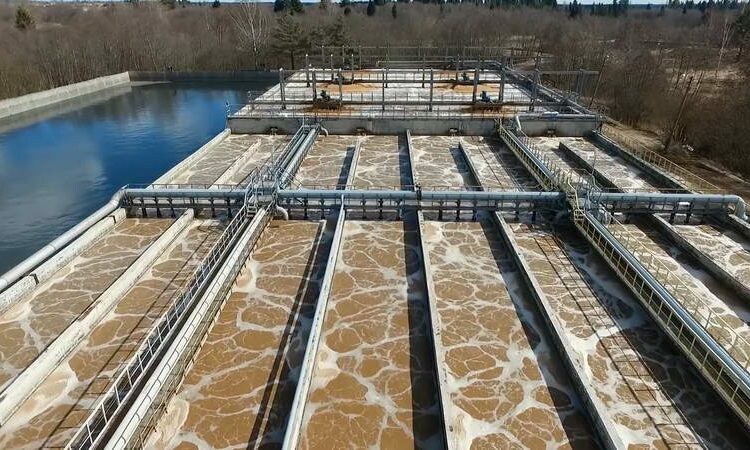 CÔNG TY TNHH MÔI TRƯỜNG TẦM NHÌN XANH 4