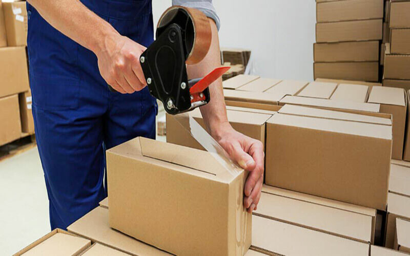 Xuất Nhập Khẩu Winlogs 6