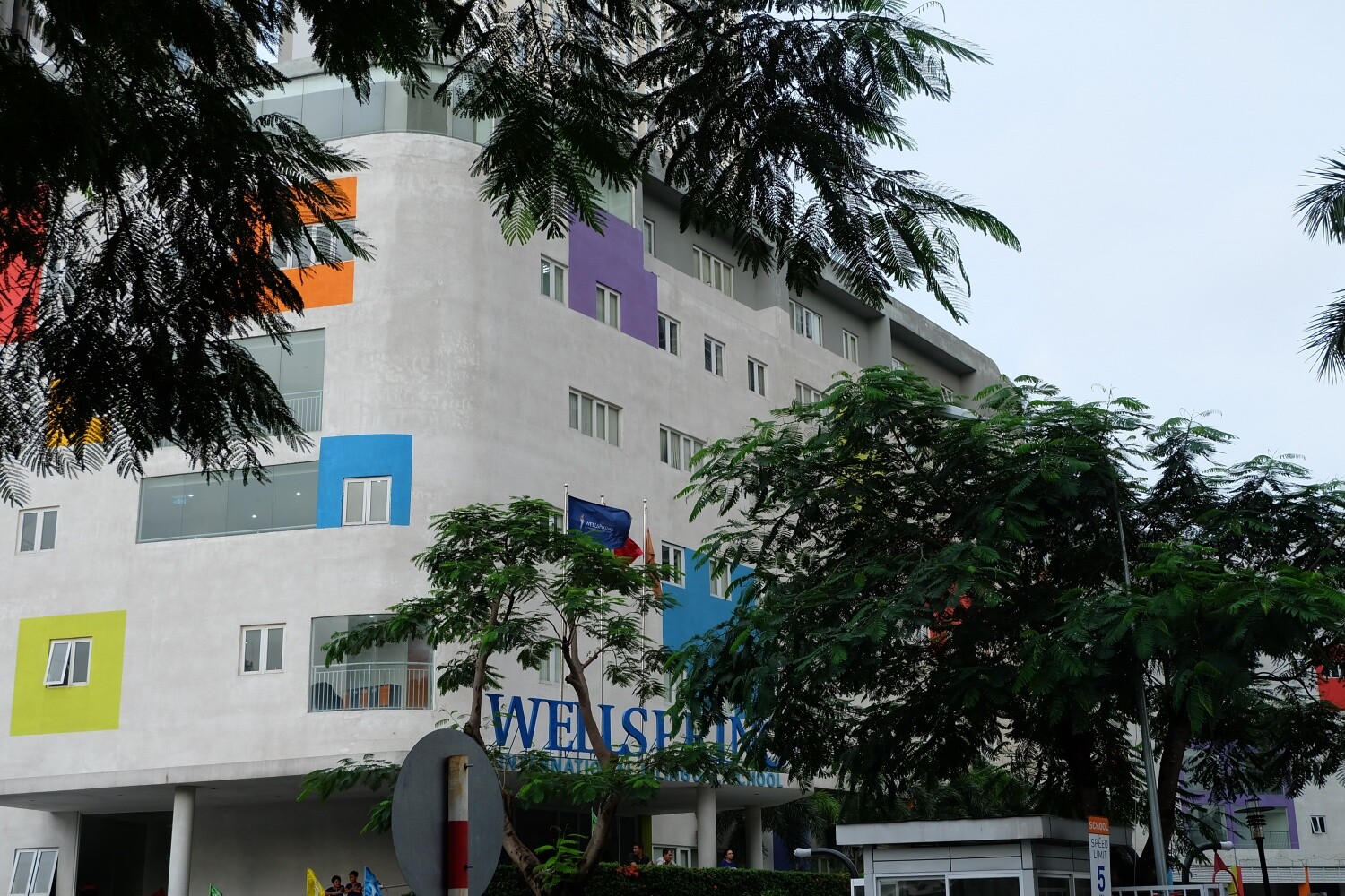 Wellspring International Bilingual School 7
