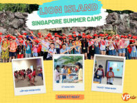 Công Ty TNHH Tư Vấn Du Học Việt Phương 1