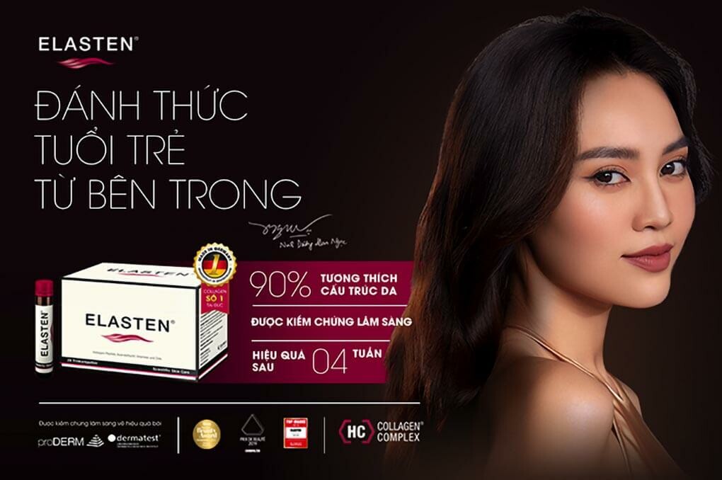 ELASTEN VIỆT NAM 10