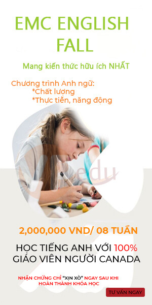 Công Ty TNHH Tư Vấn Du Học Việt Phương 8