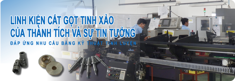 CÔNG TY TNHH CHUUBU KOUGYOU VIỆT NAM 10