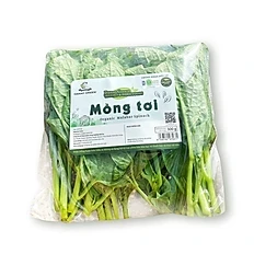 Công Ty Cổ Phần Dannygreen 3