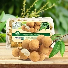 Công Ty Cổ Phần Dannygreen 1