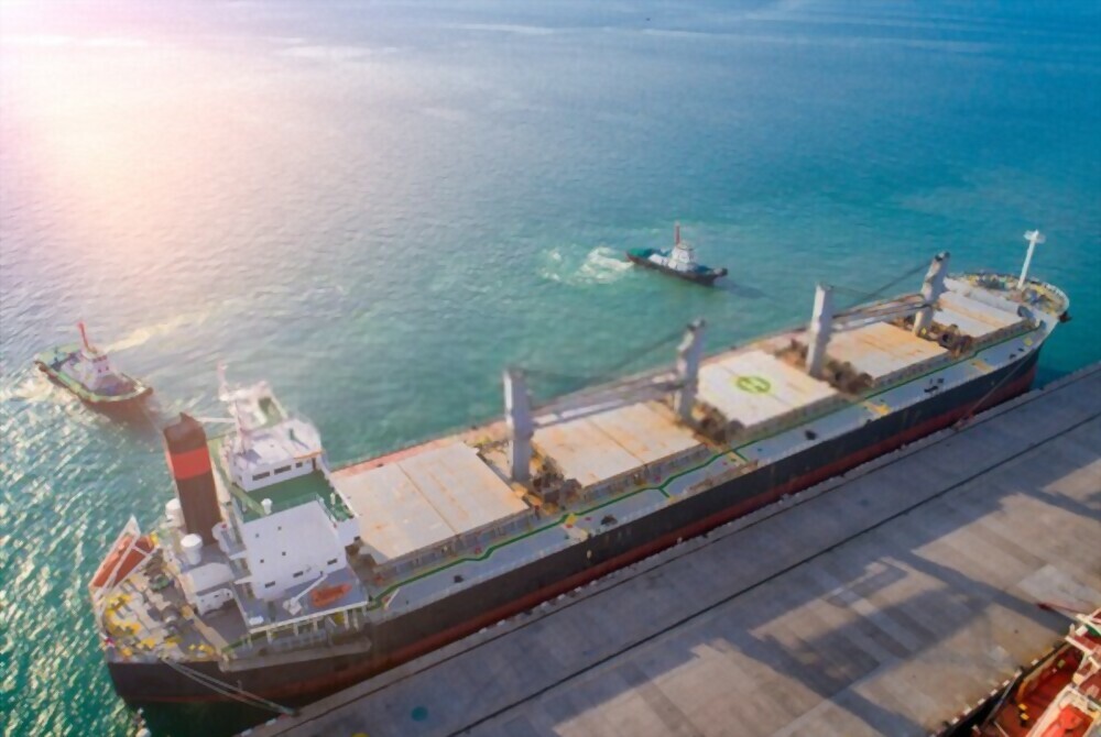 Mn Shipping Haiphong 9