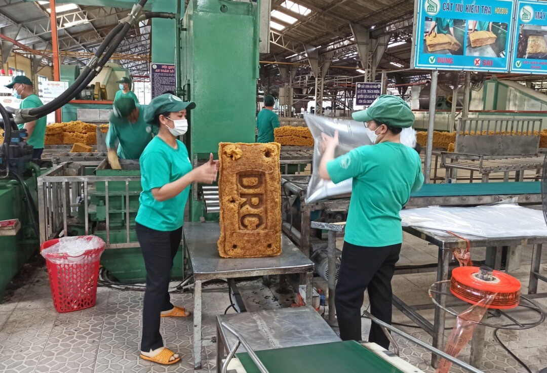 Công Ty TNHH MTV Cao Su Dầu Tiếng 8