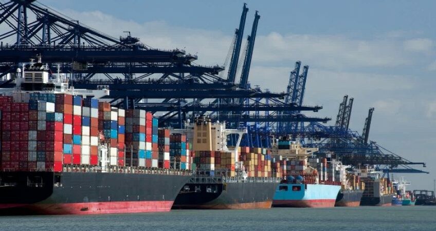 Xuất Nhập Khẩu Winlogs 7