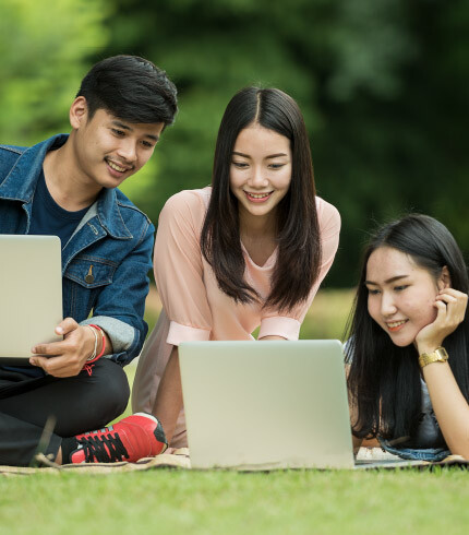 Language Link Vietnam 11