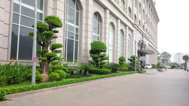 Thế Giới Cảnh Quan Xanh 4