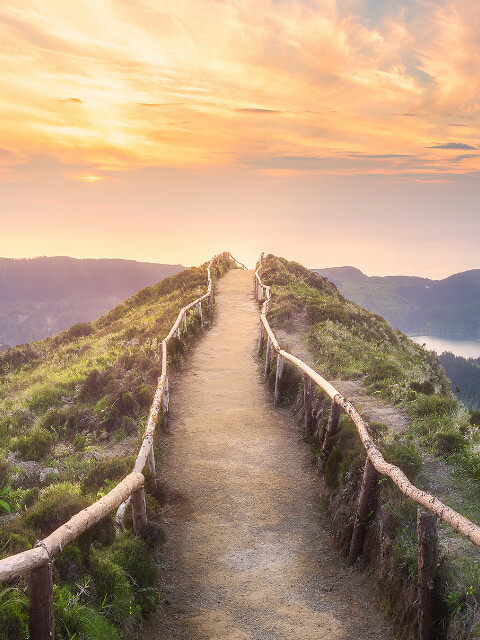 OM DIGITAL SOLUTIONS 5