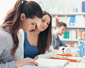 Language Link Vietnam 3