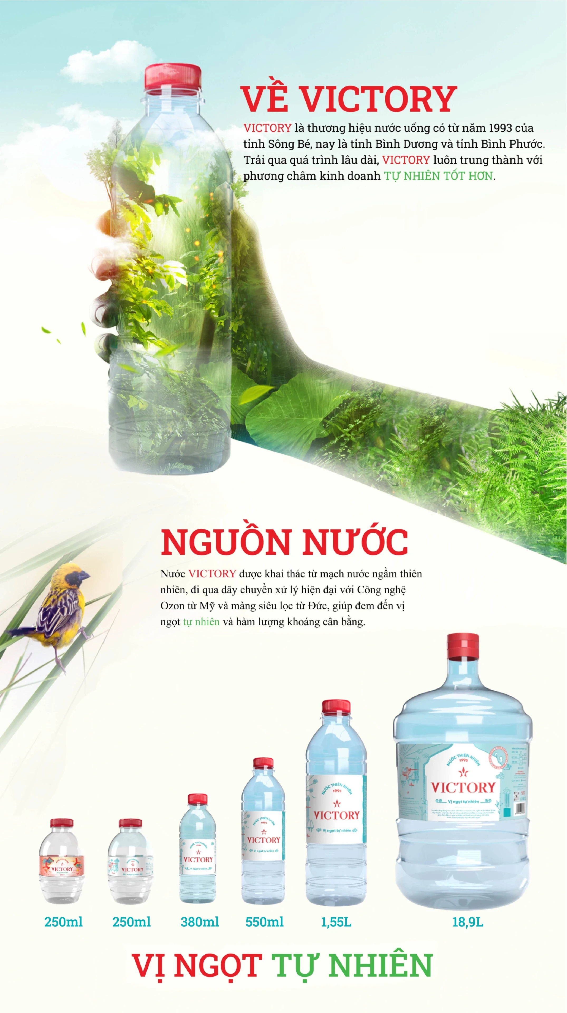 THẮNG LỢI BÌNH DƯƠNG 5