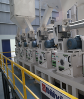 CÔNG TY CP XUẤT NHẬP KHẨU THUẬN MINH 8