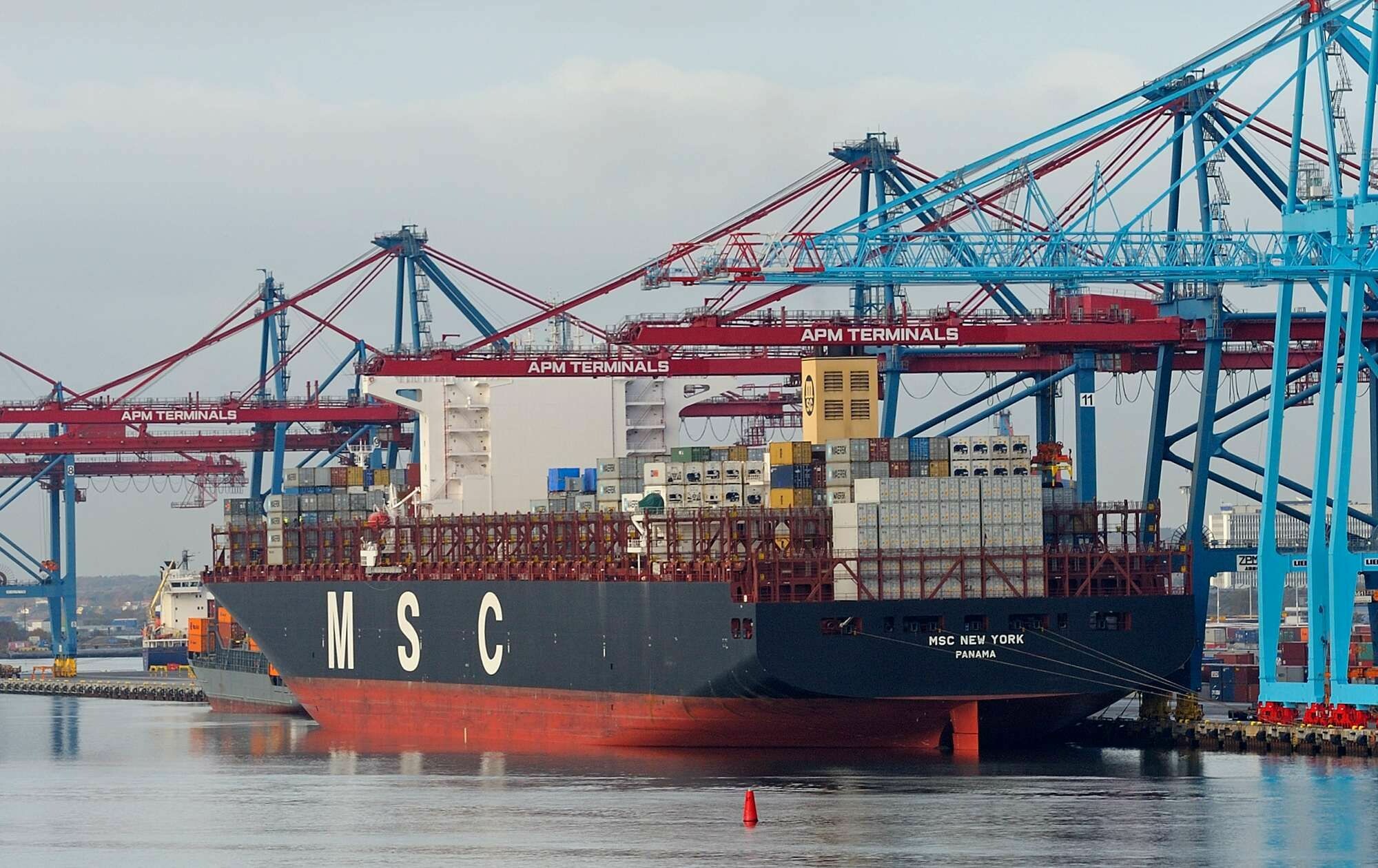 Mediterranean Shipping Company 6