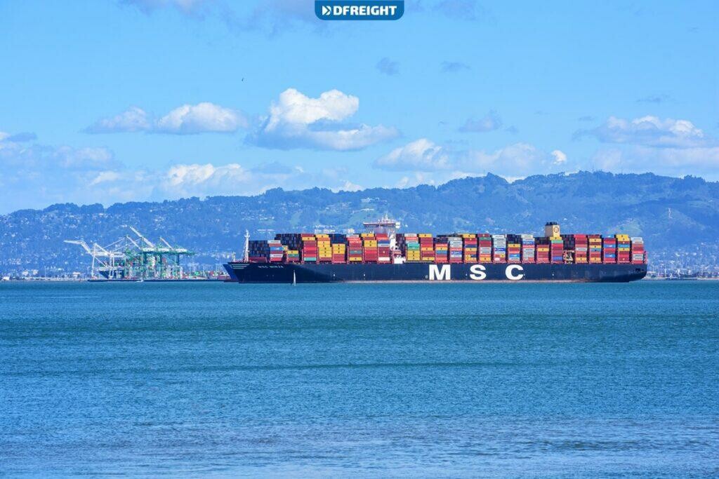 Mediterranean Shipping Company 4