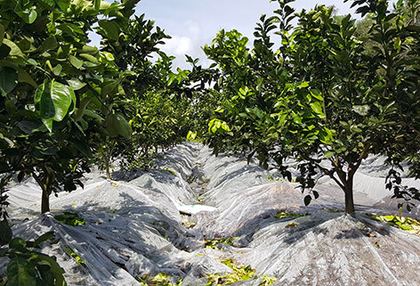 Công ty TNHH V2G Packaging 9