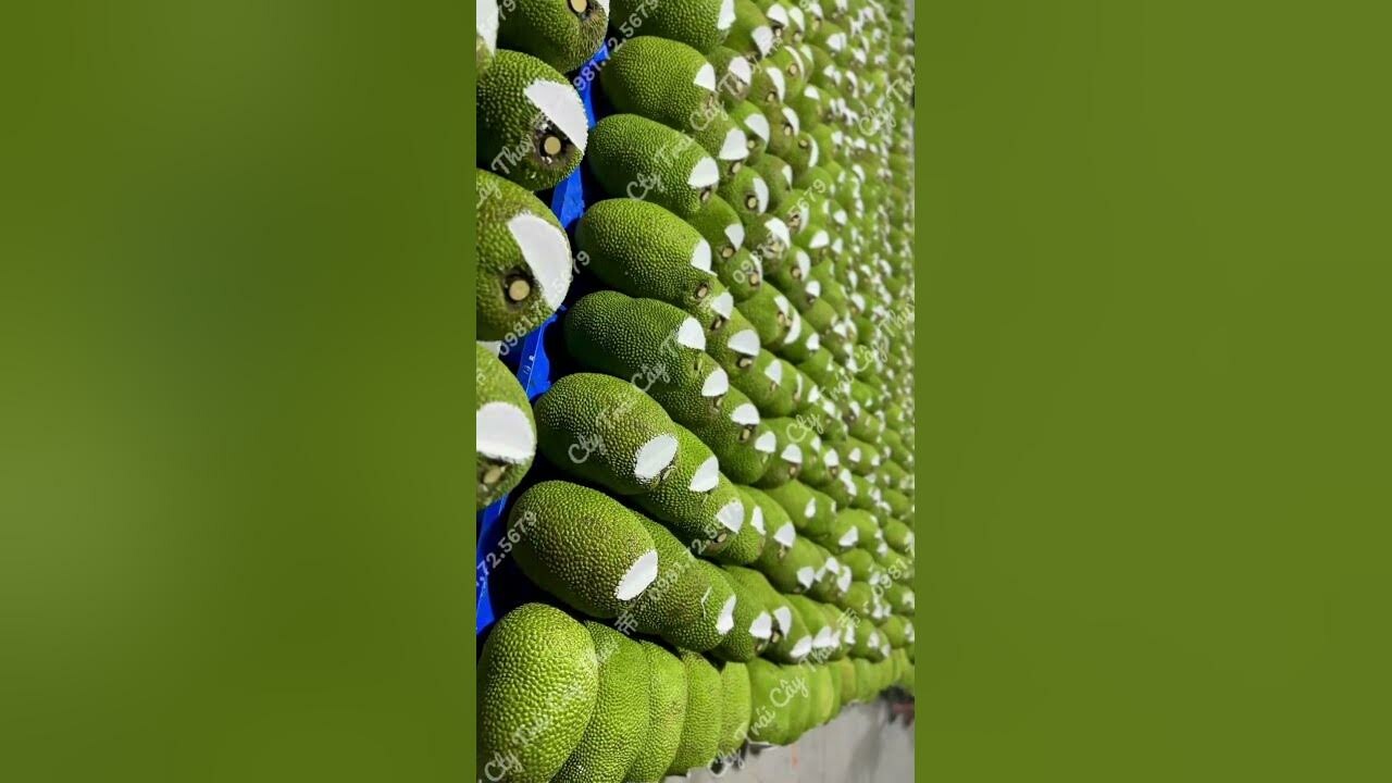 Công ty Trái Cây Thủy 帝 10