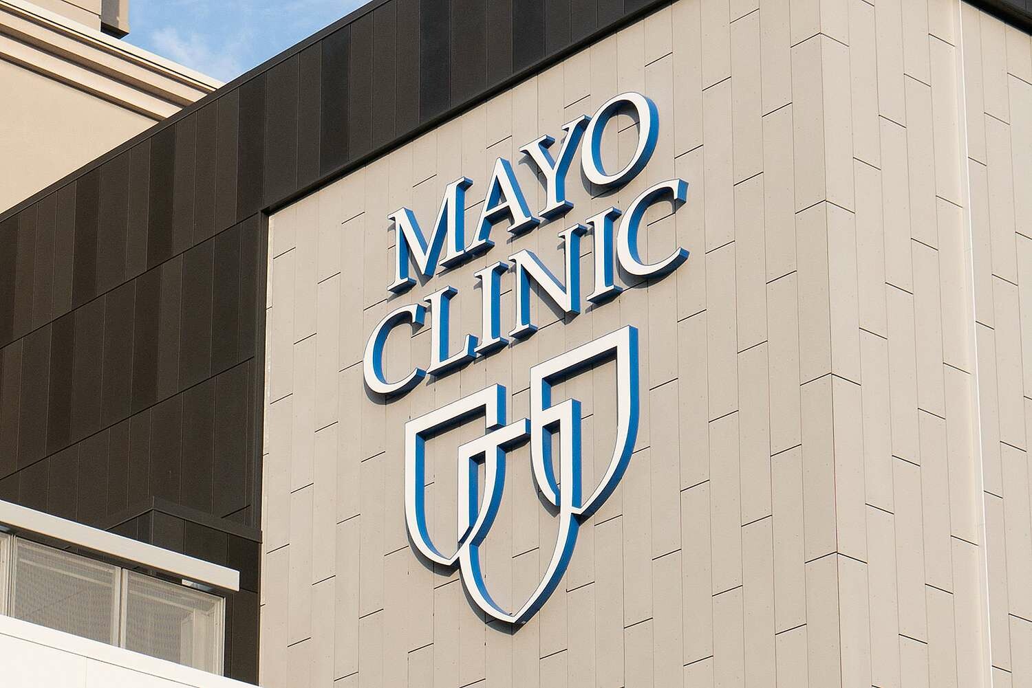THẨM MỸ VIỆN MAYO CLINIC 2